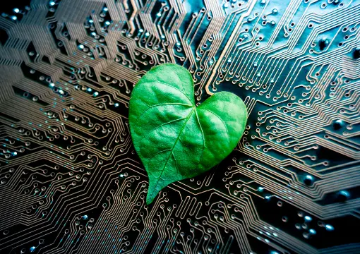 开元体育在线案例